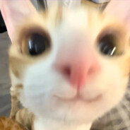 看得出来很随便