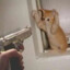ArthKing77CSGOSKINS