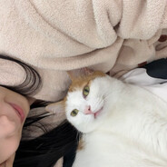 想要一个新玩具