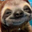 Sloth fan