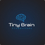 TinyBrain