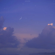 一只开坦克的小柴犬