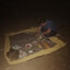 Sapi Terbang