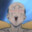 Turbro