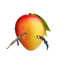 AK - Mango