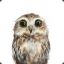 Owlet