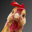 Das Huhn