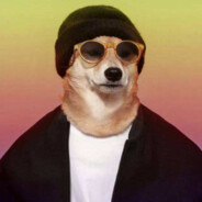 再也听不懂我说的是啥