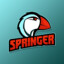 PUF | Springer