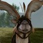 yberfox228