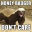 GTR Honey Badger