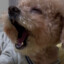 CHuwEi