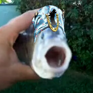 Killer Feesh