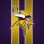 Minnesota Vikings