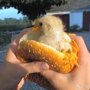 其实没什么感觉