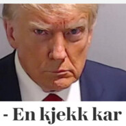 en kjekk kar DROP.SKIN