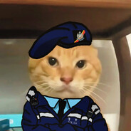 猫sir