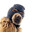 by.D9\'s Avatar