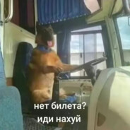 *NARO*Lucas bora bill