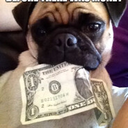 MONEY PUG