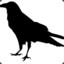 Raven