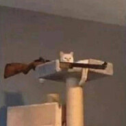 кто сказал мяу?