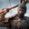 Sun Wukong