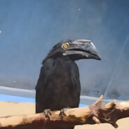 JustGreen - steam id 76561199177143358