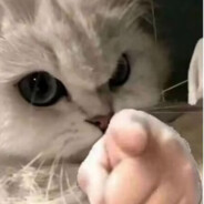 教我剥虾的女孩