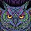 Electric Owl