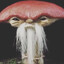 Shroom