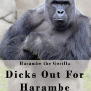 Harambe