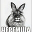 Бэлиш