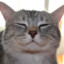 tach