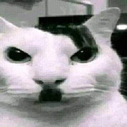 Bao