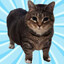 Ethel the cat