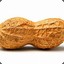 Sugoneese Nuts