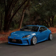 牛战士从不放牛牛