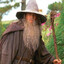Gandalf grå