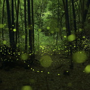 500ml的冰红茶不够我的需