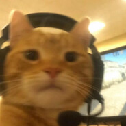 我尊贵的汉堡骑士