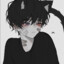 BoxCat11