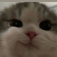_DANz0_ - steam id 76561199490275768