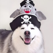 成熟的子弹会自己寻找敌人