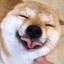 pizdabol