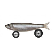 килька на колесах