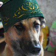 ГУБНОЙ ОБХВАТ