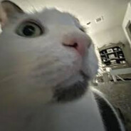 OCLCWYTGWDLQNXAFXQGX.CASE.GIFT