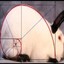 purple money easter bunny