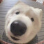 天黑知道回家
